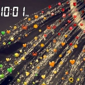 Meet your Posher, Bailey